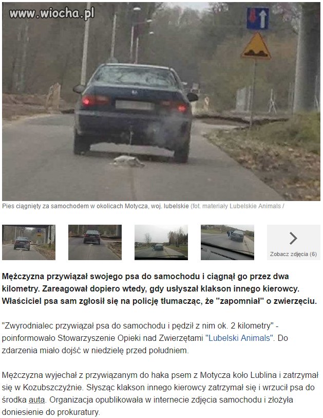 Zapominalski