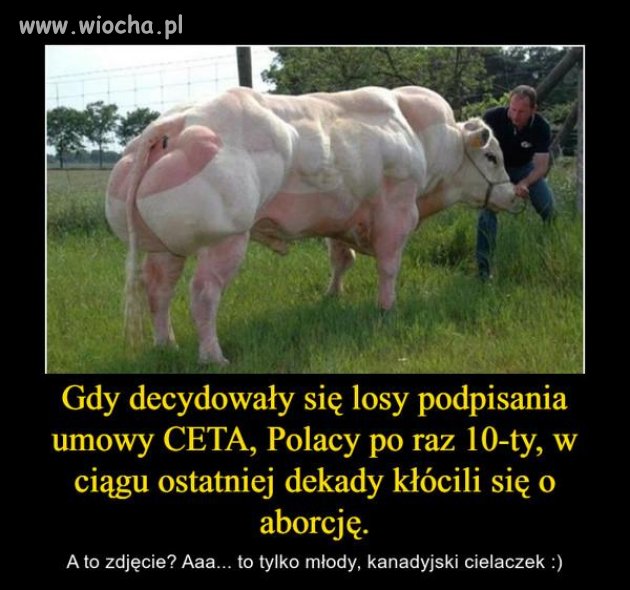 Po raz kolejny temat zastępczy? ...