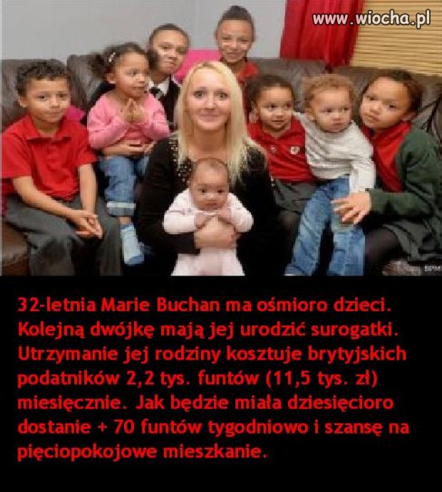 Sposób na biznes...