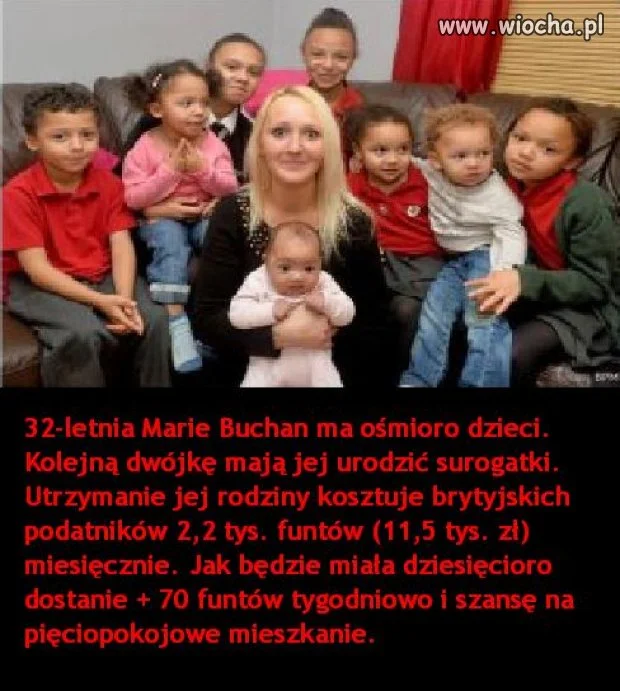 Sposób na biznes...