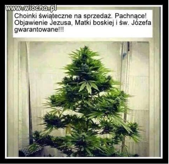 Lampki