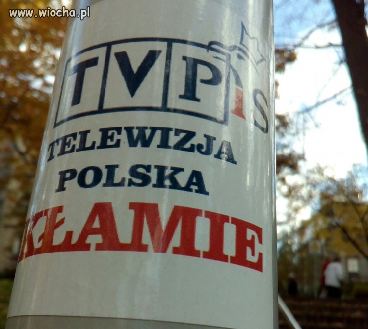 Z cyklu ściekowisko 