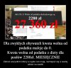 O siebie to potrafią zadbać 