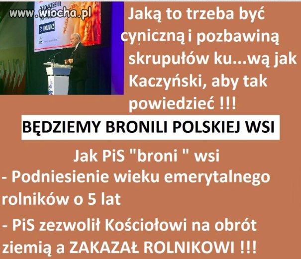 Pisowcy nad grobem Witosa