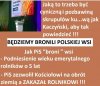 Pisowcy nad grobem Witosa