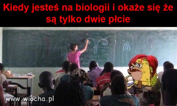 Zbulwersowana trzecia płeć