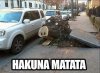 Hakuna Matata...