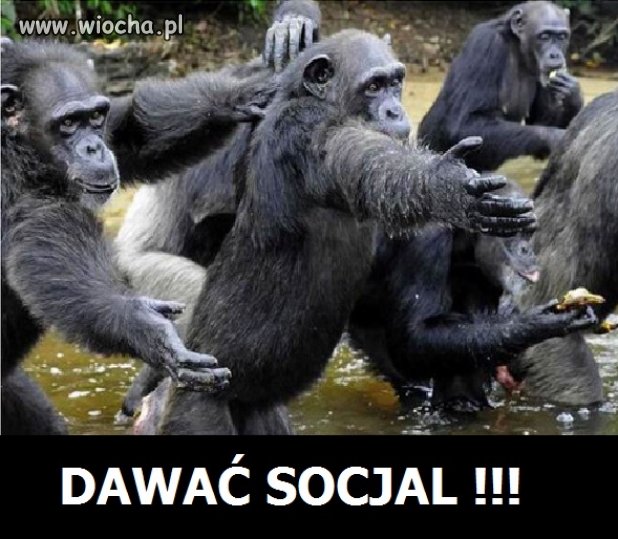 Dawać, dawać, praca zła, pieniądze dobre.