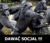 Dawać, dawać, praca zła, pieniądze dobre.