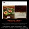 Różnica między Szkotami a Angolami...