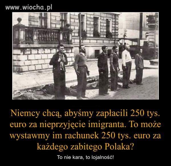 Mają rozmach...