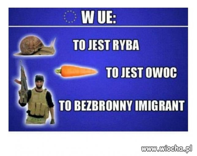 Unia Europejska