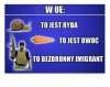 Unia Europejska
