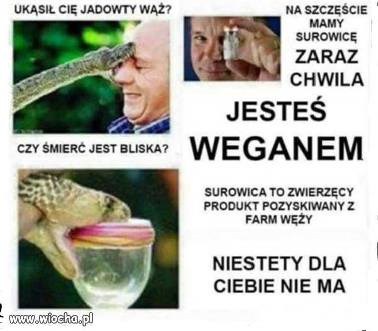 Nie dla wegana kiełbasa