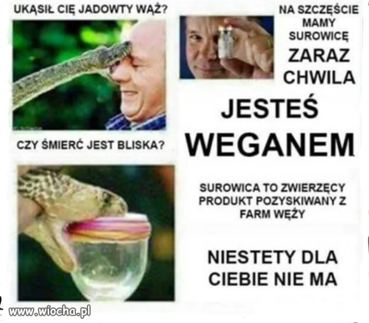 Nie dla wegana kiełbasa