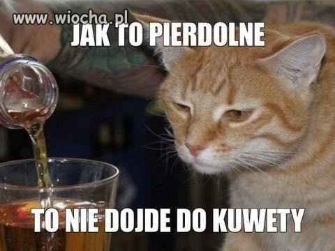 Kiciuś.