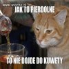 Kiciuś.