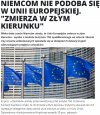 Powinni kopnąć makrele w d***