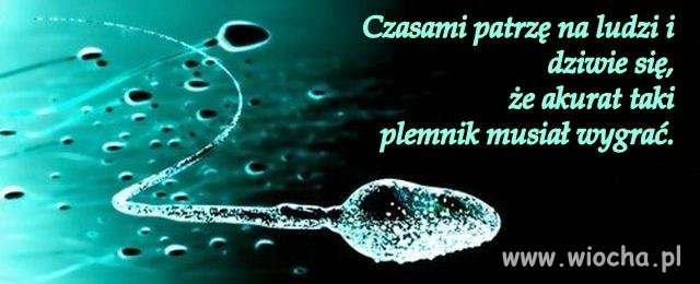 Czasem się dziwię, że akurat taki...