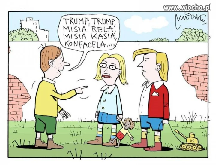 Wybory w USA