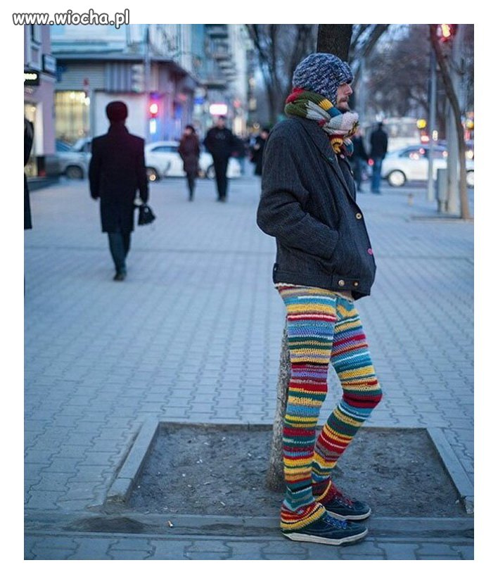 Modniś
