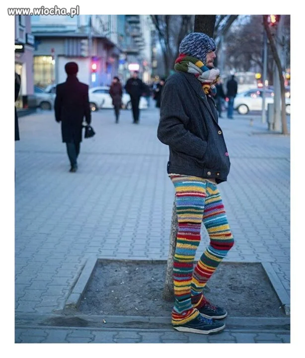 Modniś