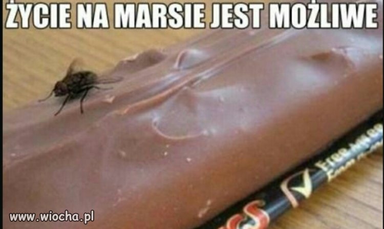 Tym jednym zdjęciem udowadniam że..