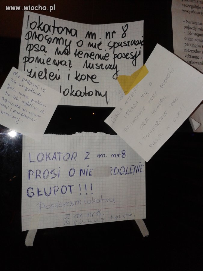 Jak dobrze mieć sąsiada