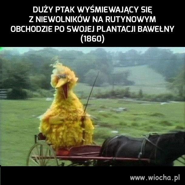 Trochę historii