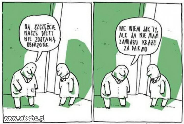 Krótka charakterystyka polskiego polityka.