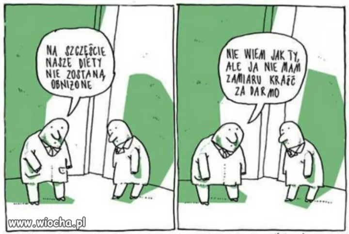 Krótka charakterystyka polskiego polityka.