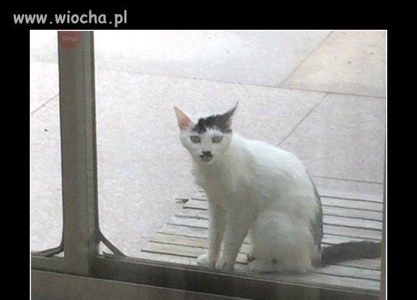 Wierzę w reinkarnację.