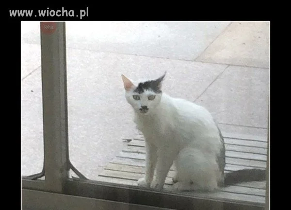 Wierzę w reinkarnację.