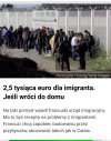Francuzi to jednak naiwne tępaki.