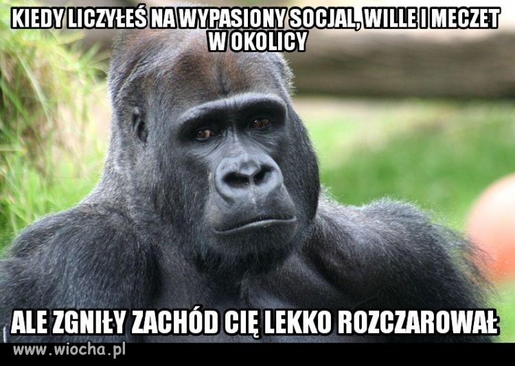 Biedny.