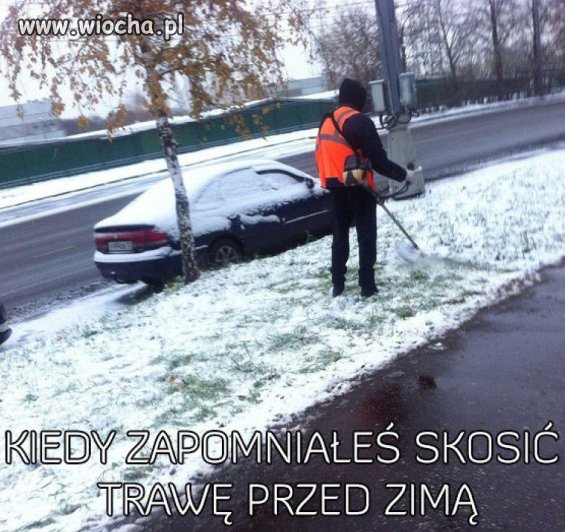 Koszenie trawy.
