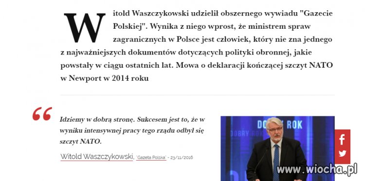 No bo to idiota