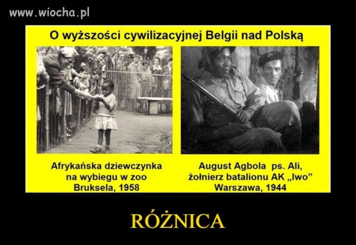 Szach i Mat Unio 
