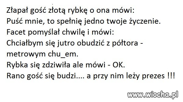 Uważaj o co prosisz złotą rybkę.