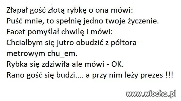 Uważaj o co prosisz złotą rybkę.