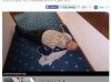 Bogdan zasłużył na kwotę  wolną od podatku 