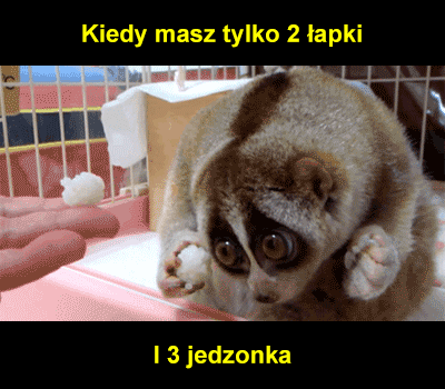No tak ...
