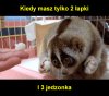 No tak ...