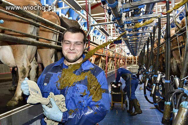 Zmień pracę, weź kredyt - 