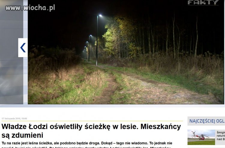 Władze Łodzi oświetliły ścieżkę w lesie