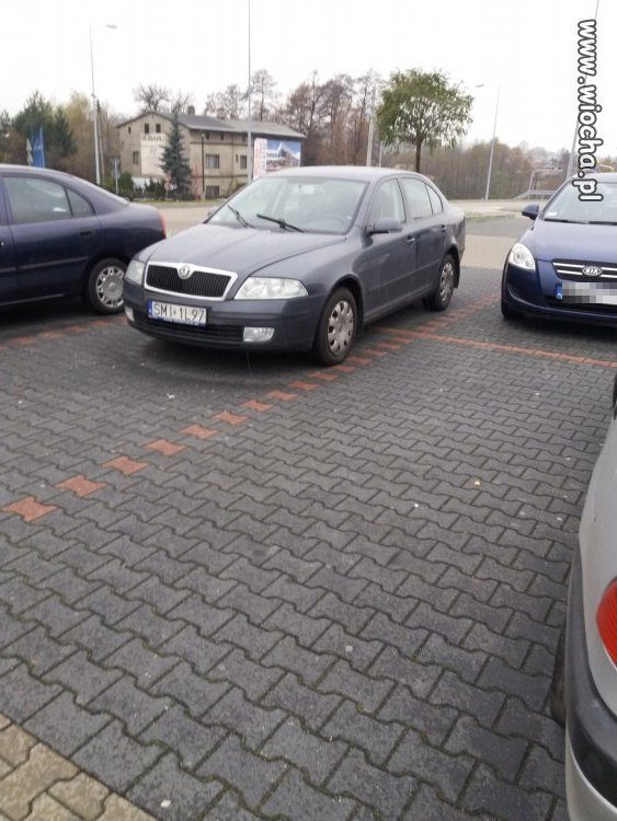 Mistrz parkowania