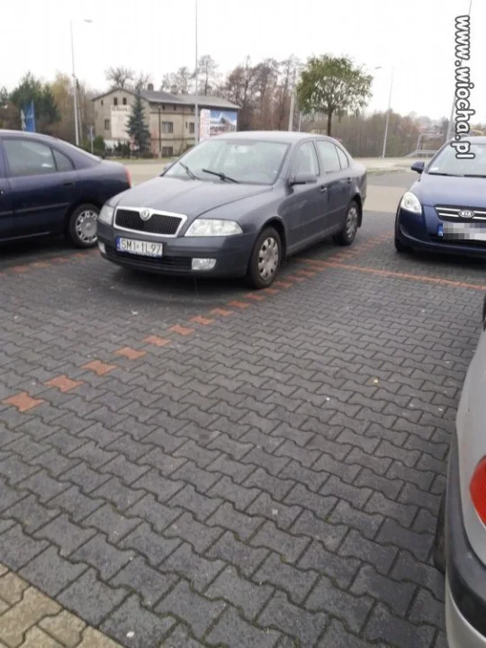 Mistrz parkowania