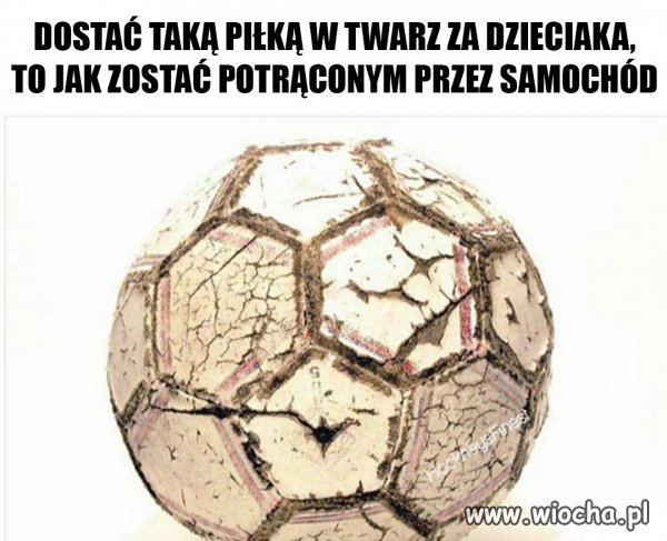 Mokra ważyła parę kilo