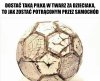 Mokra ważyła parę kilo