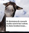 W dzisiejszych czasach